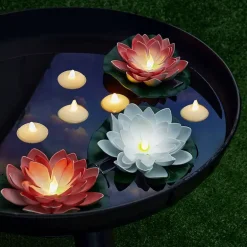 Lotus flyteblomst