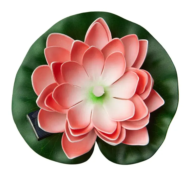 Lotus flyteblomst