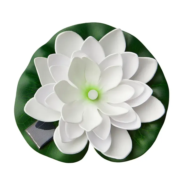 Lotus flyteblomst