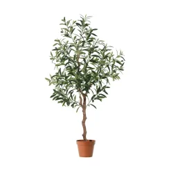 Oliventre