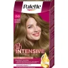 Palette Intensive
