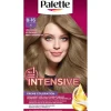 Palette Intensive