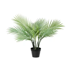 Palme