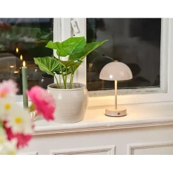 Philodendron