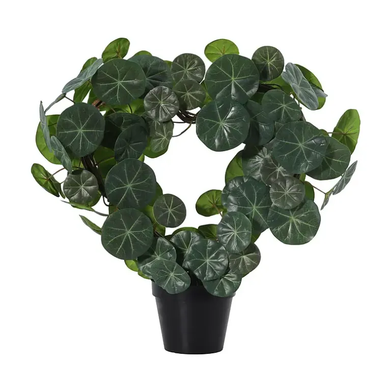 Plante