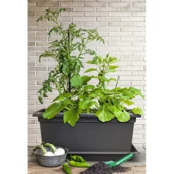 Plantekasse