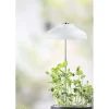 Plantelys