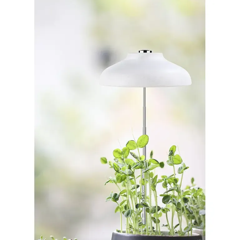 Plantelys