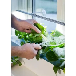 Plantelys 85 cm
