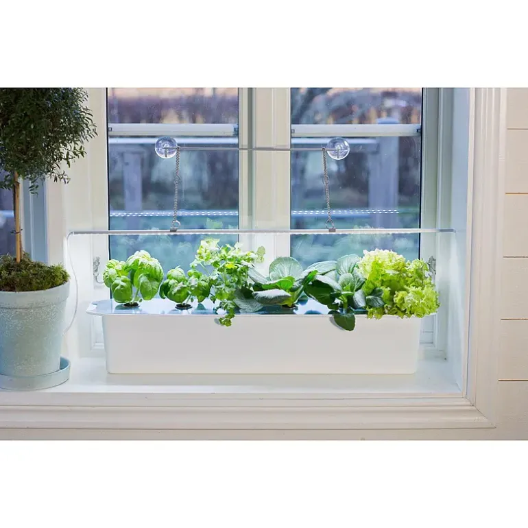 Plantelys 85 cm