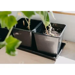 Plastpotte
