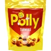 Polly turmiks