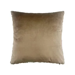 Pute