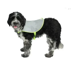 Refleksvest hund