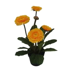 Ringblomst