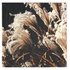 Servietter 20-pk