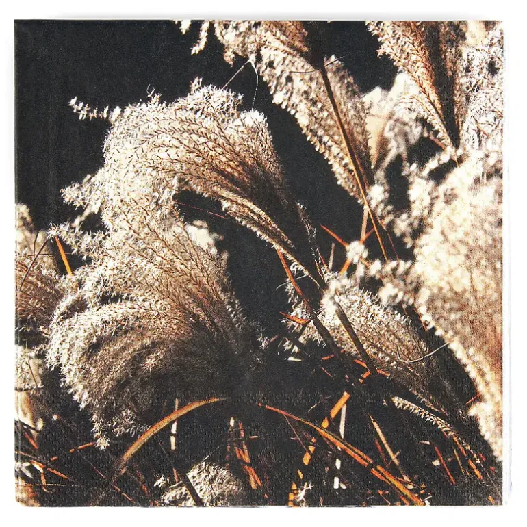 Servietter 20-pk