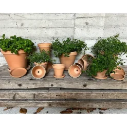 Skål Terra classic