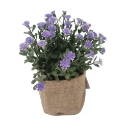 Småblomst