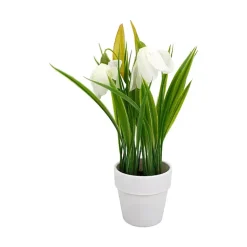 Småblomster