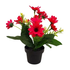 Småblomster