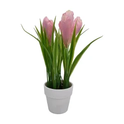 Småblomster