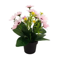 Småblomster