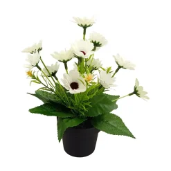 Småblomster