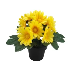 Småblomster