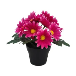 Småblomster