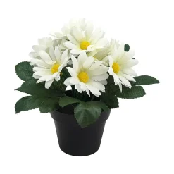 Småblomster