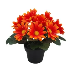 Småblomster