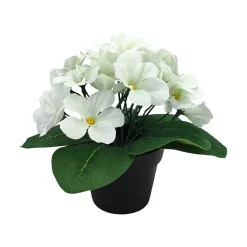 Småblomster