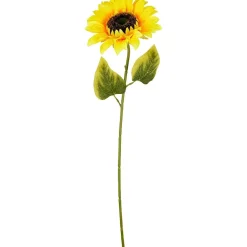 Solsikke