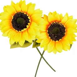 Solsikke