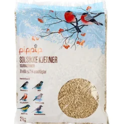 Solsikkekjerner