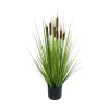 Stråplante