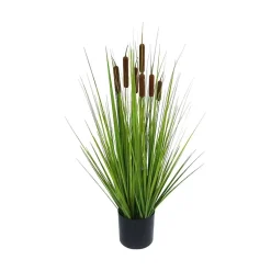 Stråplante