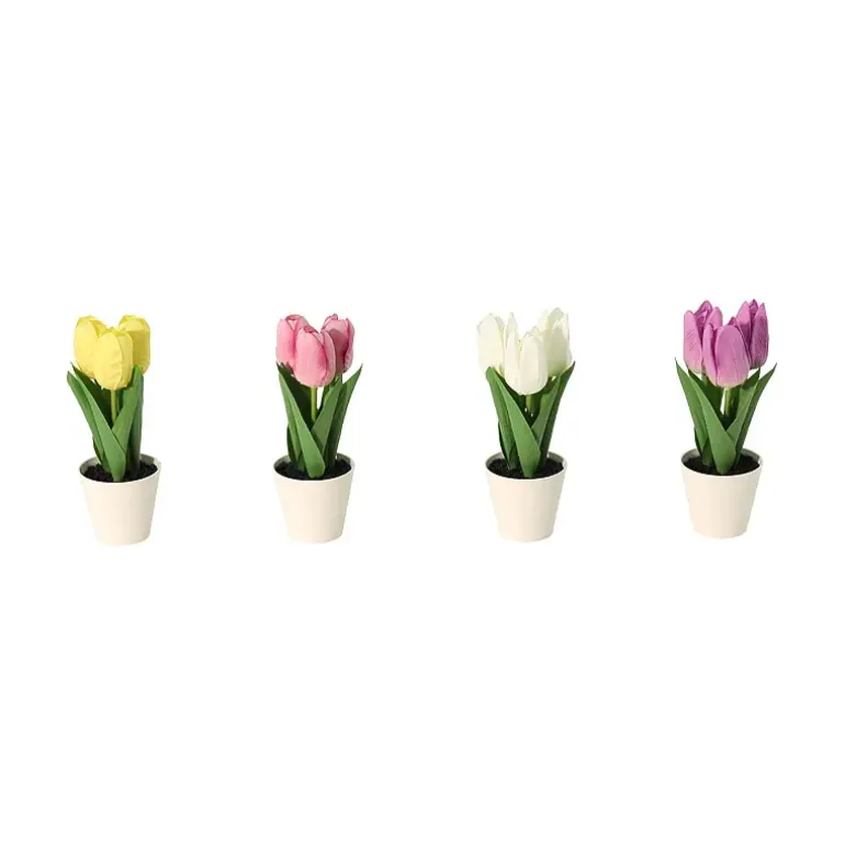 Tulipaner