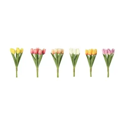 Tulipan 5-pk