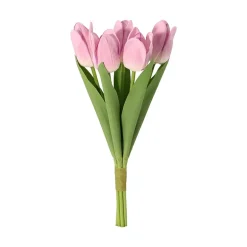 Tulipan 5-pk