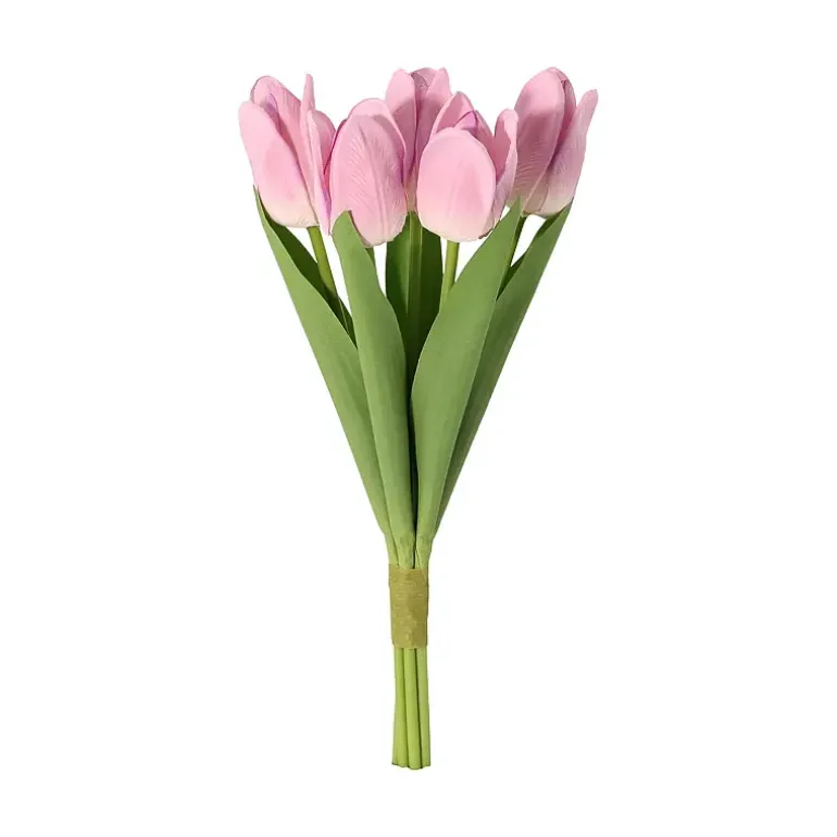 Tulipan 5-pk