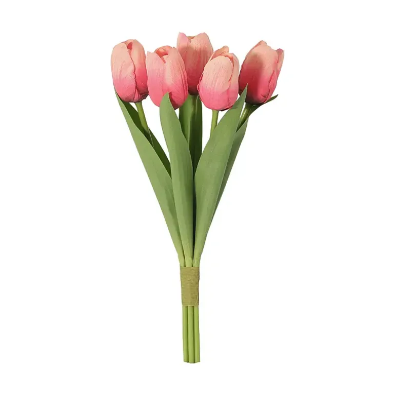 Tulipan 5-pk