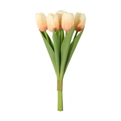 Tulipan 5-pk