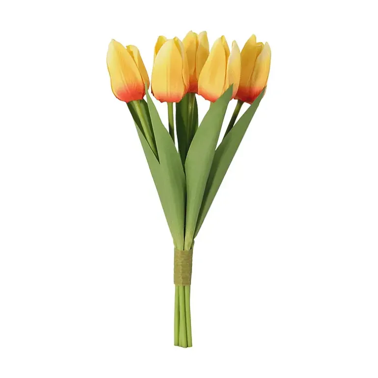 Tulipan 5-pk
