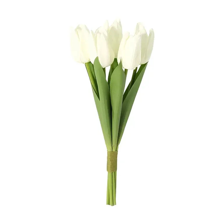 Tulipan 5-pk
