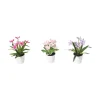 Vårblomst 3-pk