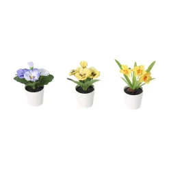 Vårblomst 3-pk